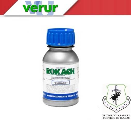 ROKACH